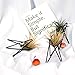 Pack of 4 Air Plant Holder Tillandsia Base, Modern Geometric Metal Air Plant Stand Airplant Display Rack, Tabletop Big Streptophylla Plant Display Table Hand for Home Office Decoration Supplies