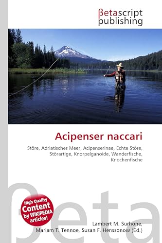 Acipenser naccari: Störe, Adriatisches Meer, Acipenserinae, Echte Störe, Störartige, Knorpelganoide, Wanderfische, Knochenfische