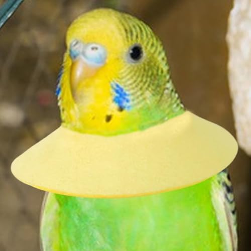 Loro antimordeduras cono de pájaro protector antidesplumado ajustable 4