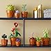 LEGO Botanical Plantas Diminutas con 9 Flores Artificiales para Construir en Maceta de Terracota Imagen de LEGO Botanical Plantas Diminutas con 9 Flores Artificiales para Construir en Maceta de Terracota