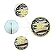 USA Navy-Seal Challenge Coin – Sea Land Air, Military Collector Coin, for Veterans & Navy Seal Fans