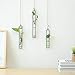 Aoderun Hanging Glass Planter Water Iron Art Hydroponic Vase Transparent Test Tube Flower Hanging Bottle Home Decoration (3pcs-S,M,L)