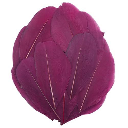 Plumas rojas oscuras para manualidades bricolaje Navidad y máscaras de colores surtidos 2