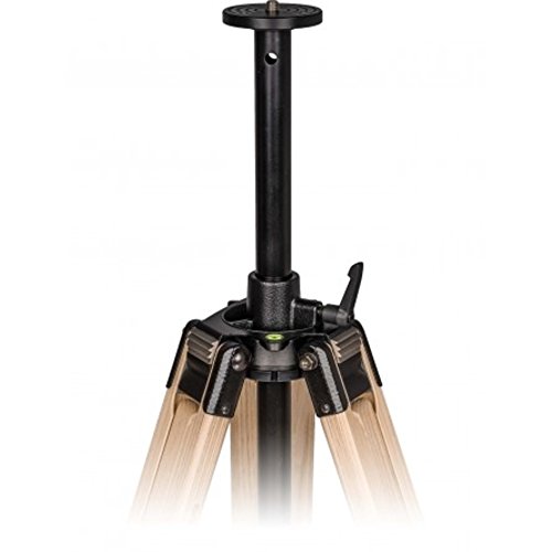 Berlebach Treppiede-Legno Report 122 3/8'