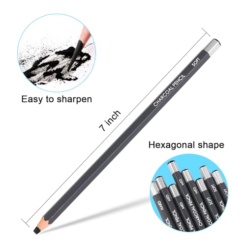 Sunshilor Professional Charcoal Pencils Drawing Set - 12 Pieces Soft Medium and Hard Charcoal Pencils for Drawing, Sketching, Shading, Artist Pencils for Beginners & Artists