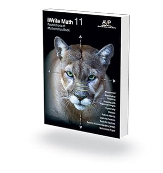 Paperback Foundations of Mathematics 11 Workbook Book