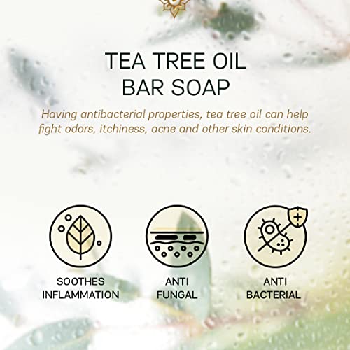 Authentic Bath & Soap Cold Processed Tea Tree Bar Soap For Men & Women. Handmade, No Sulfate Or Parabens, Cruelty Free & Vegan. 3.5 Oz Each (Pack Of 2) #TOP6