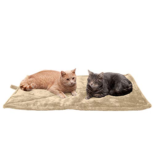 Best Heated Cat Beds for Cold Nights - Thermal Cat Beds For Cold Basements