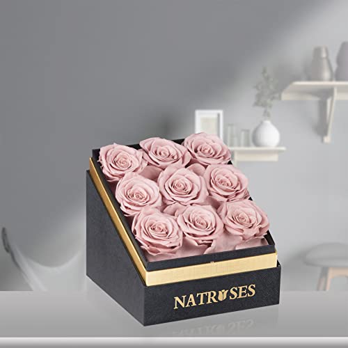 Natroses Forever Preserved Roses In A Box, 100% Real Roses That Last Up To 3 Years, Flowers For Delivery Prime Birthday, Valentines Day Gifts For Her, Birthday Gifts (Dusty Rose) #TOP2