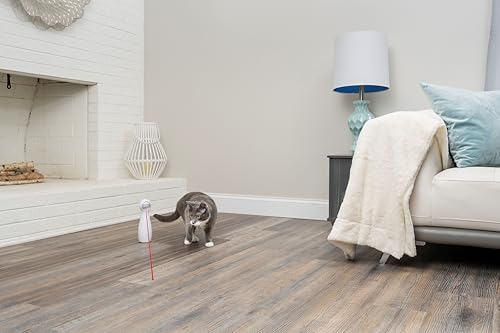 Laserpointer für Katzen von Petsafe Bolt – Interaktives Spielzeug