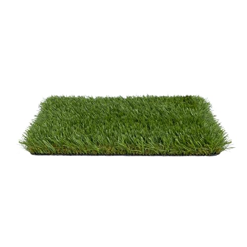BRINDEK Césped Artificial Creta 30 mm en rollo 2 m de ancho | Corte a medida 2x1 a 2x25 m | Aspecto natural alta densidad | Drenaje eficiente | Uso exterior terrazas, jardines y balcones (2x3 Metros)
