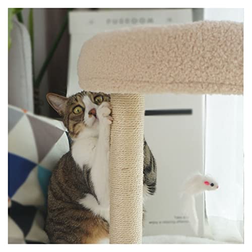 Arbre à chat grand format résistant pour résoudre le manque d'espace de jeu