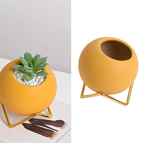 Pentole Pianta 1Pc Vaso di Fiori Planter Macetas Vaso Groot Macetas Decorativas Semplice Durevole succulente Vaso da Fiori Vaso di Fiori for L'Ufficio per Tutte Le Piante da casa, i Fiori, Le Erbe