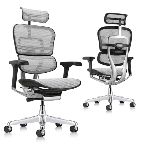 Image of Ergohuman Eurotech ME7ERG GEN2 High Back Mesh Office Chair with Tilt Tension Control, Tilt Lock, Back Angle, Back Height, Synchro Tilt, Seat Height, Seat Depth, and Arm Height Adjustments, Grey