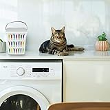 SUL Peg Storage Basket Container with Lid Washing Powder storage Box 5L with 36 Wooden Clothes Pegs, Dishwasher Machine Soap Tablet box (Puple Handle) - Image 3