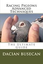 Racing Pigeons Advanced Techniques: The Ultimate Guide