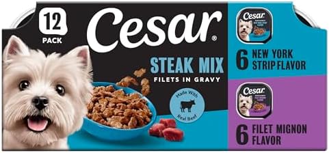 Cesar Filets in Gravy Adult Wet Dog Food Variety Pack, Filet Mign...