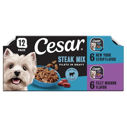 Cesar Filets in Gravy Adult Wet Dog Food Variety Pack, Filet Mignon and New York Strip Flavors, 3.5...