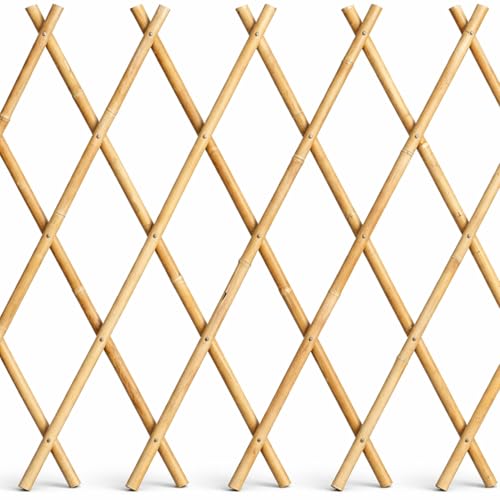 Virsus 1 Traliccio Estensibile in Bamboo Naturale 3618, Diametro 12-14 mm, per Sostegno a Muro di Fiori e pianti rampicanti, per Decorazione Esterni Pannello Recinzione Giardino, terrazzo (180x90 cm)