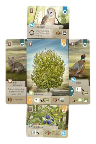 Asmodee, Mischwald: Dartmoor, Grundspiel, Kennerspiel, Deutsch – Ansicht 3