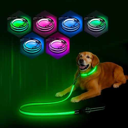 PZRLit Mehrfarbige 1.2 m LED Hundeleine–Leuchtend & Reflektierend,7 Modi Glühen im Dunkeln, Beidseitig USB-C Wiederaufladbar mit Akkuanzeige Wasserdicht Für Kleine Mittel Große Hunde, Nachtsicherheit