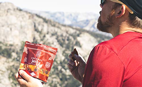 Seva Foods 4-Pack Organic Vanilla & Strawberry Space Ice Kream (Freeze Dried Astronaut Ice Cream - Vegan Non Dairy) and Chipotle Lime & Savory Coconut Jerky Soy-Free Vegan Strips, 6 oz Total Weight