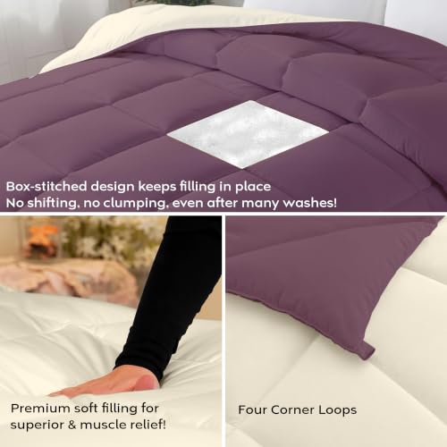 Image of AYKA Reversible Comforter 220 GSM Microfiber Reversible AC Comforter /Blanket for Winter /Quilt /Dohar /Duvets for King Size Blanket /Comforter Double Bed (Plum & Pearl, 60 * 90 inch)
