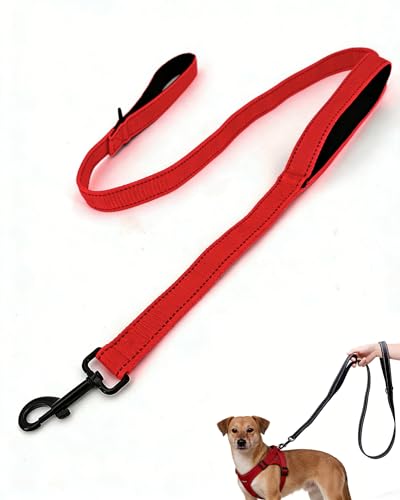 VernAlly Strong Dog Leash with 2 Padded Handles Traffic Handle Extra Control Double-Sided Reflective Leashes for Small Medium and Large Dogs (Red 4FT)