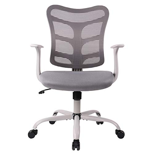 Office Chair, Ergonomics Mesh Chair Computer Chair Desk Chair High Back Chair w/Adjustable Headrest and Armrest