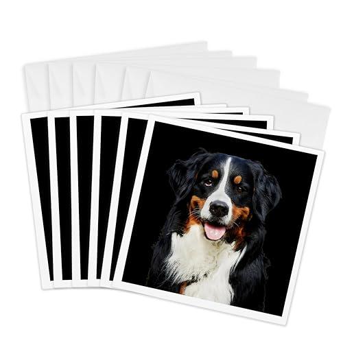 Cartes bouvier bernois 3dRose pour correspondances familiales