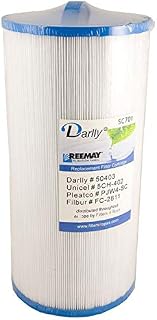 Darlly spa filter SC701 (5CH-402)