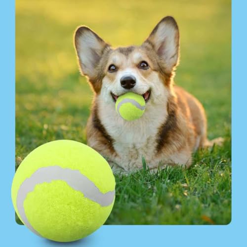 Kit 2 Bolas de Tênis para Cachorro, Brinquedo para Pet