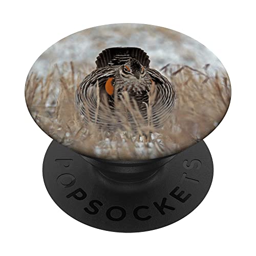 Prairie Chicken PopSockets Swappable PopGrip, Black