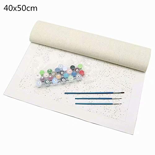 Empty Schilderen op nummer, set met tulpenvaas, doe-het-zelf, canvas, decoratie, huis, structuur, voorgedrukt, borstels, tekening, schilderij, hand, woondecoratie 40 x 50 cm (zonder lijst). - Afbeelding 6