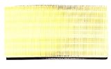 Genuine Ford Parts (XW4Z 9601 AC) Air Filter