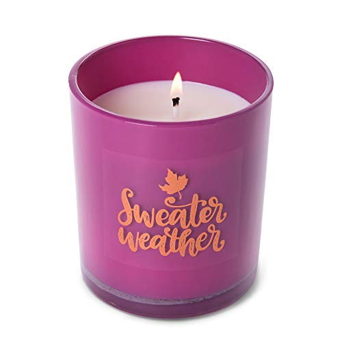 Bougie parfumée Colonial Candle vanille orchidée violette 270 ml - 5
