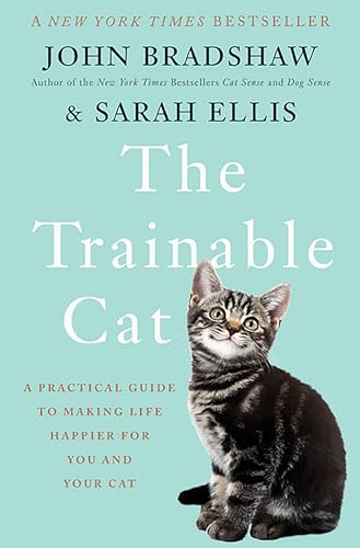 The Trainable Cat view 2