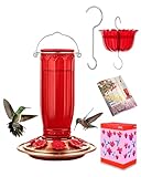 iBorn Glass Hummingbird Feeder for Outdoors Hanging Ant and...