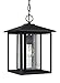 Sea Gull Lighting 62027-12 Outdoor Pendant with Clear Seeded Glass Shades, Black Finish