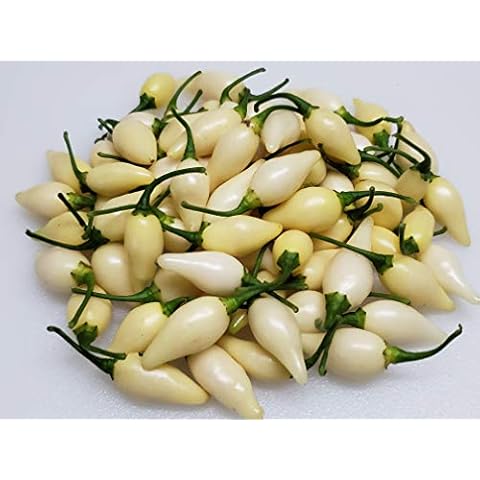 Biquinho White Pepper 10+ Seeds Cover