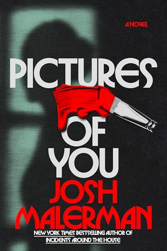 Pictures of You: A Novel