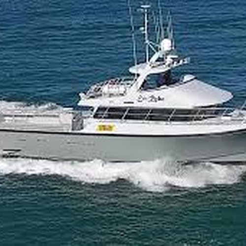 State Opposition say fishing ban is "absolutely stupid" copertina