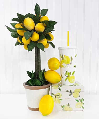 Kate Spade New York Insulated Tumbler With Reusable Straw, 20 Ounce Travel Cup With Lid, Lemons #TOP3