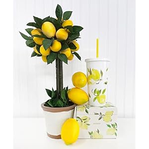 Kate Spade New York Insulated Tumbler with Reusable Straw 20 Ounce Travel Cup with Lid Lemons