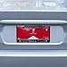 Liverpool FC Black Inlaid License Plate Frame - Official Licensed Product - Great for Any LFC Soccer Fan - Makes A Great Gift