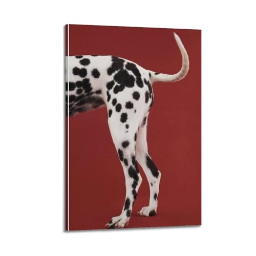 Affiche chien tacheté koanga - Réveillez les murs de votre chambre