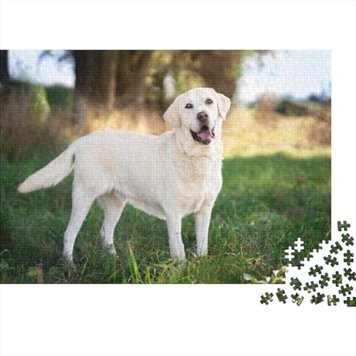 Puzzle imposible de 1000 piezas de Labrador, juego educativo de 70x50cm para adultos