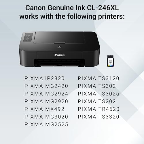 Image of Canon CL-246 XL Genuine Color Ink Cartridge, Compatible with iP2820, MG2420 /2924 /2920 /3020 /2522 /2525, MX492, TS3120 /302 /302a /202 /202a /4520 /3320