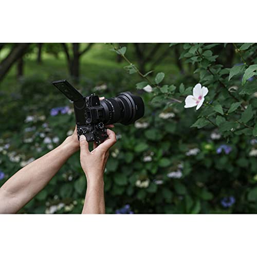 Sony Alpha 7R V Mirrorless Camera Body (ILCE-7RM5/B) – 61MP Full-Frame Sensor | AI Autofocus | FE 200-600mm Lens, 64GB Card, Filter Kit, Photo Software, Bag, NP-FZ100 Compatible Battery and More
