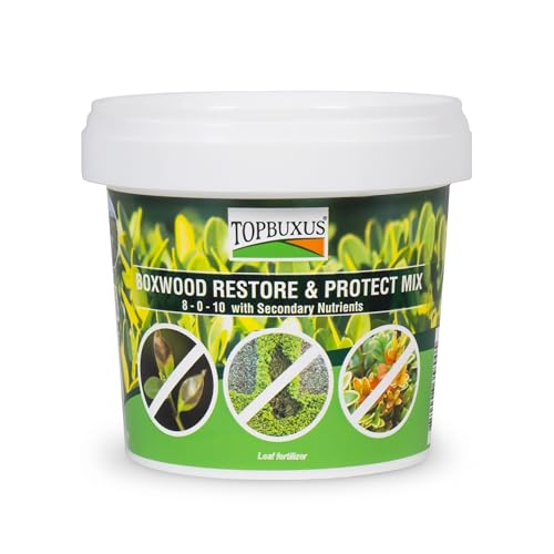 TOPBUXUS Boxwood Restore & Protect Mix